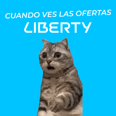 Cat GIF
