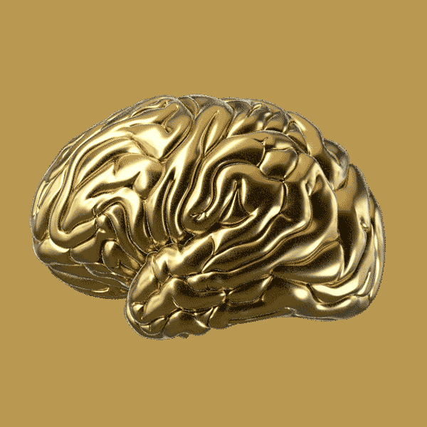 3d-brain GIFs - Get the best GIF on GIPHY