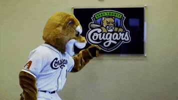 baseball ozzie t cougar GIF by Kane County Cougars