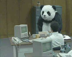 Risultati immagini per gif panda computer