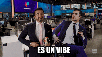 Television Vibe GIF by Univision