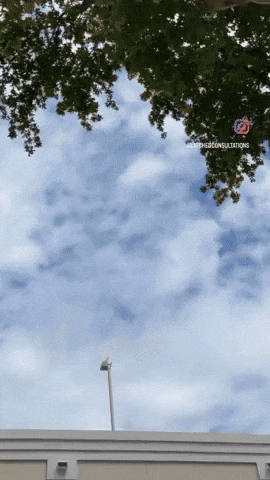 Breastfeeding GIF by latched