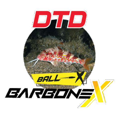 Barbone Sticker by DTD squid jigs
