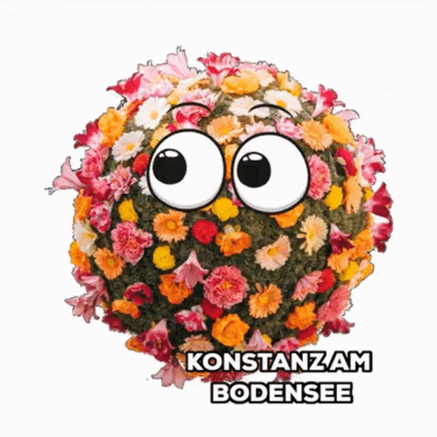 Flower Spring GIF by KonstanzInfo