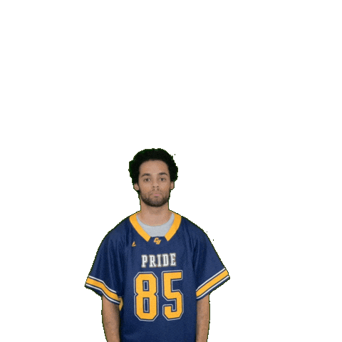 Clarke Pride Sticker by Clarke University