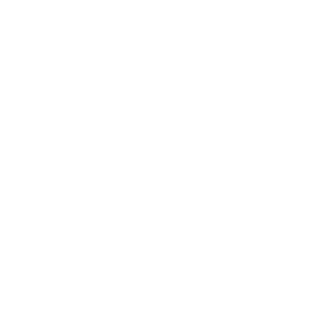 BF Boards Sticker