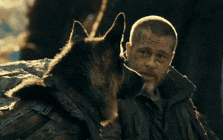 Brad Pitt Dog GIF