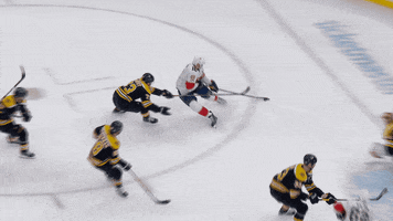 Goal Hockey GIF by Florida Panthers