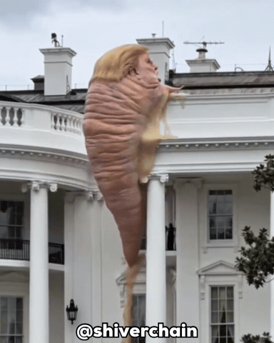 Donald Trump GIF
