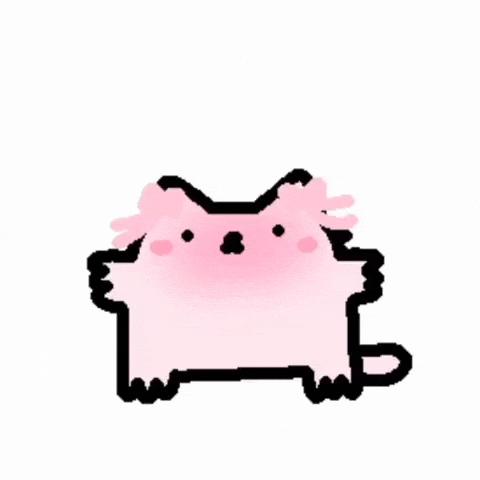 Cat Nub GIF