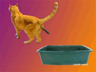 giphy.gif?cid=19f5b51a5cc31e81302e763567