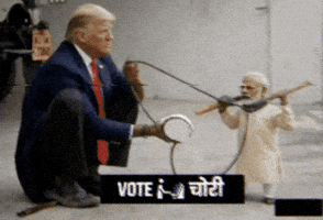 Modidance GIF