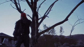 MIKE LAVISH GIF
