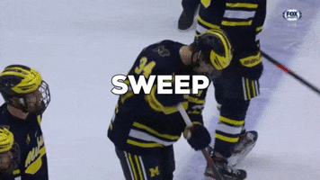 Sweep GIF by Michigan Athletics