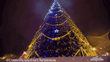 Christmas Tree GIF by Hallmark Mystery