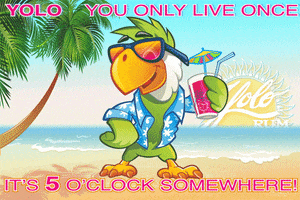 Happy Hour 5 Oclock GIF by Yolo Rum