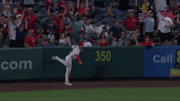 La Angels Halos GIF by Los Angeles Angels