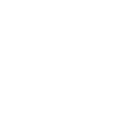 Groupama Arena Sticker