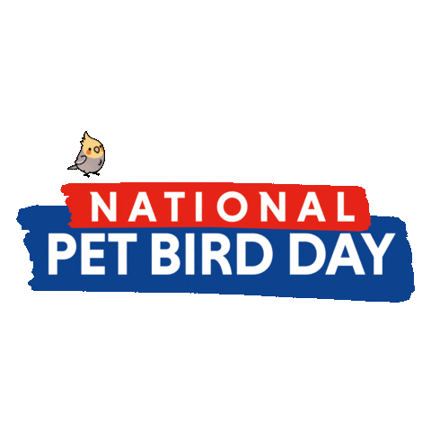 MyBird Sticker