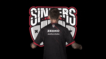 Nickname Zedko GIF by SINNERS Esports