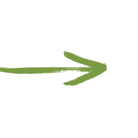 GIF by Feelgood Trainer