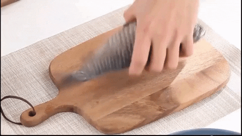 GIF animado