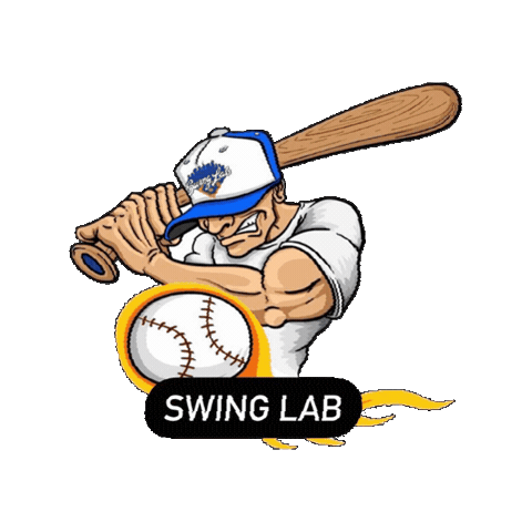 Sticker by Swing Lab
